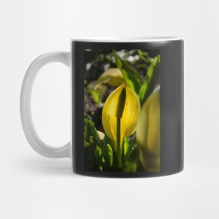 Skunk cabbage Mug